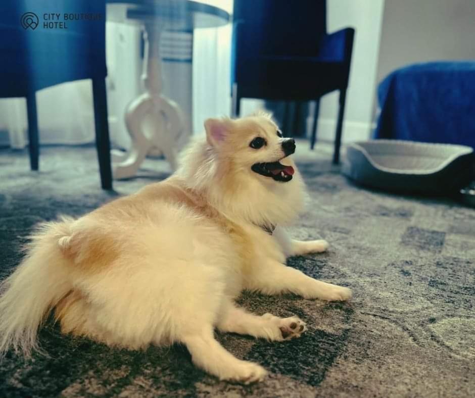 City Boutique Hotel เจโลนากูรา ภายนอก รูปภาพ